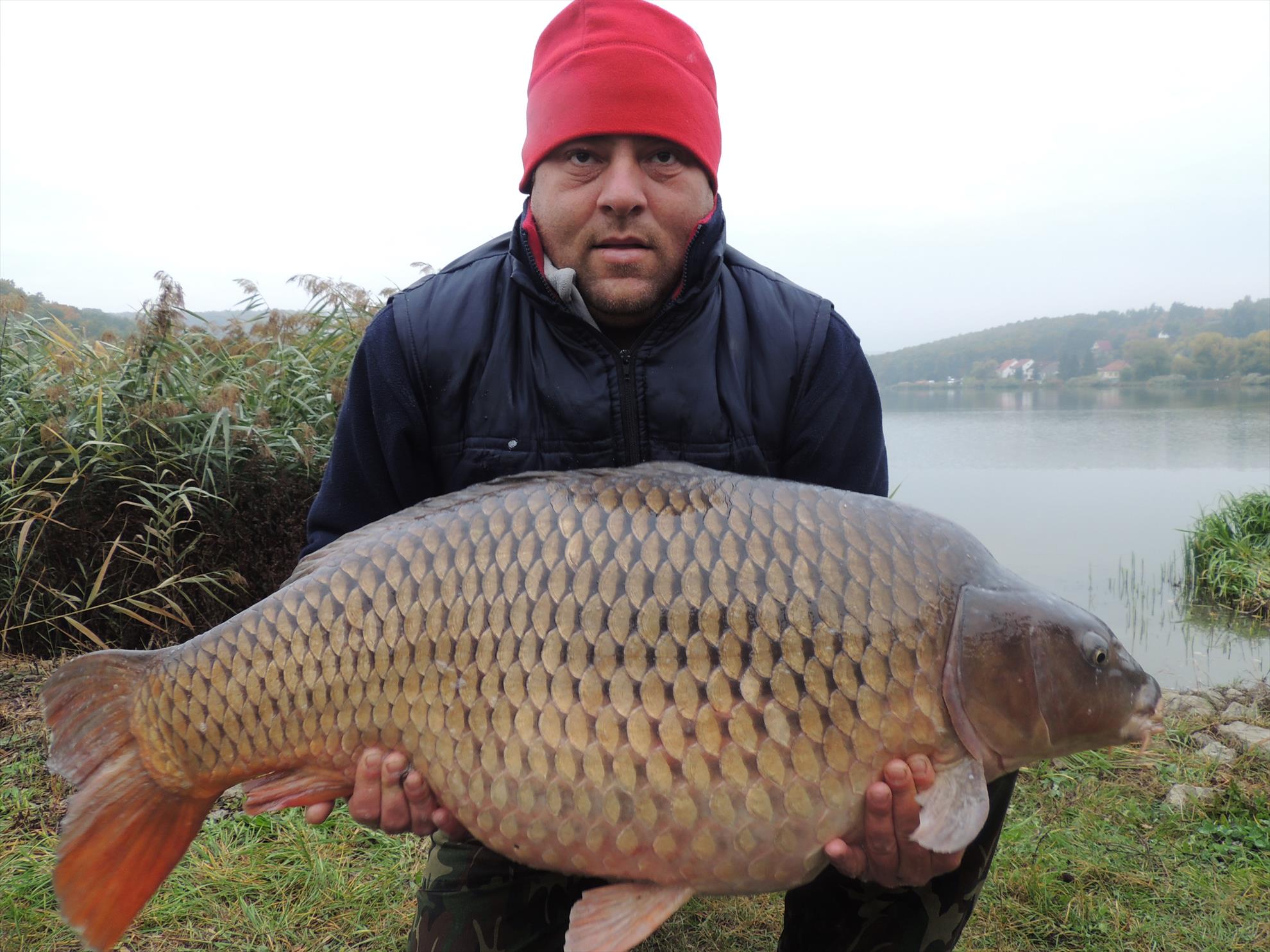 harsany 2013 - dscn0209.JPG